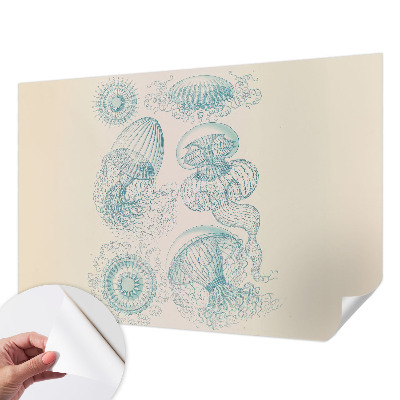 Papier peint tendance chambre adulte Morské medúzy