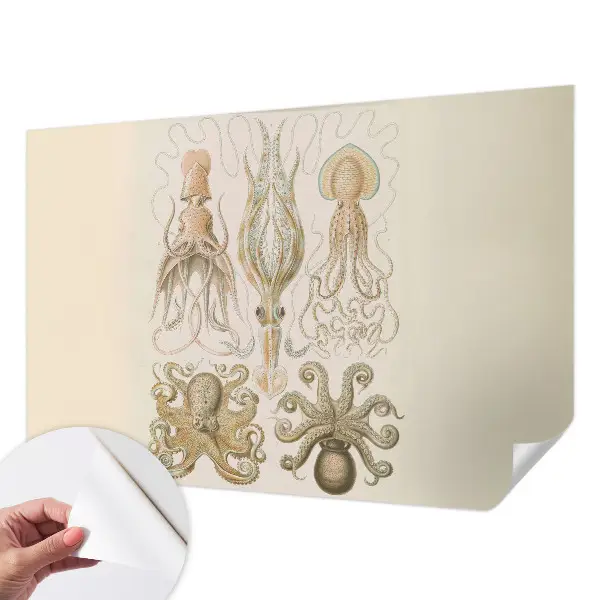 Papier peint photographique sur tissu non tissé Vie marine
