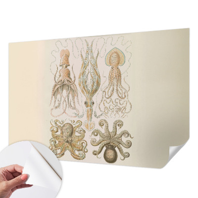 Déco papier peint salon Morský život