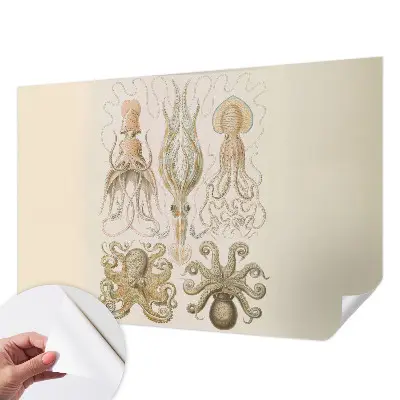 Papier peint photographique sur tissu non tissé Vie marine