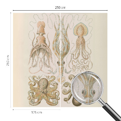 Déco papier peint salon Morský život