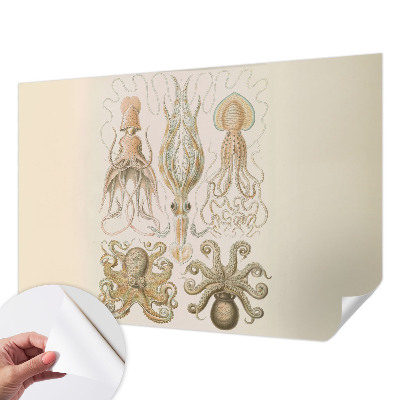Déco papier peint salon Morský život