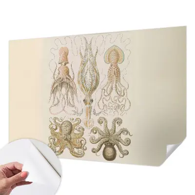 Papier peint photographique sur tissu non tissé Vie marine