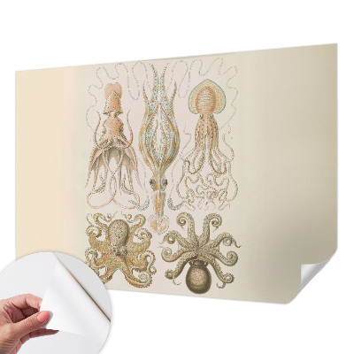 Déco papier peint salon Morský život