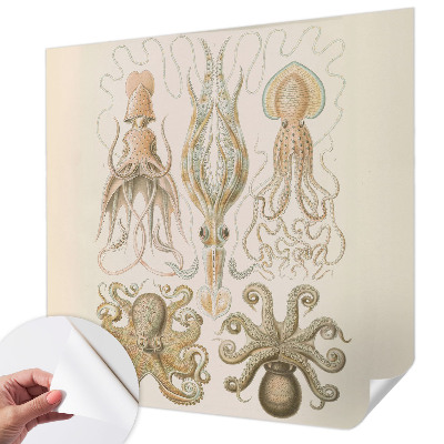 Déco papier peint salon Morský život