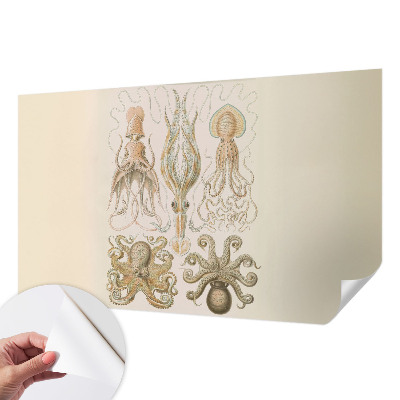 Déco papier peint salon Morský život