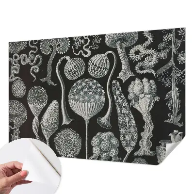 Papier peint intissé Plantes magiques