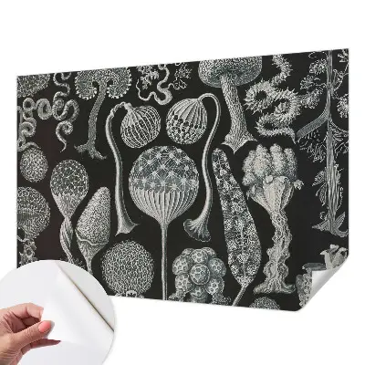 Papier peint intissé Plantes magiques