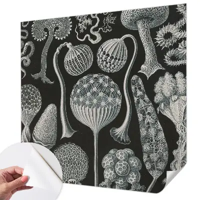 Papier peint intissé Plantes magiques