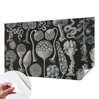 Papier peint intissé Plantes magiques