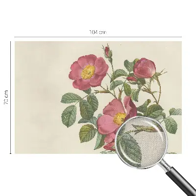 Papier peint photo grand format pour le mur motif de rose