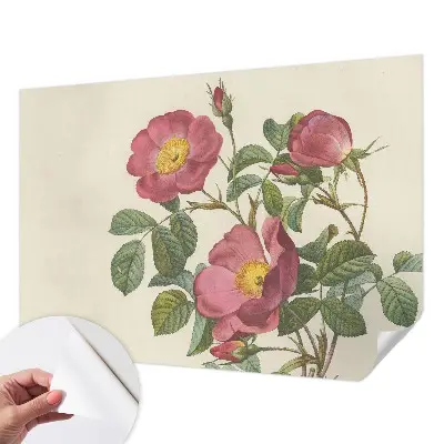 Papier peint photo grand format pour le mur motif de rose