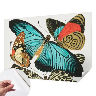 Papier peint photographique sur tissu non tissé Papillons colorés