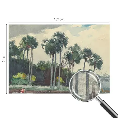 Papier peint photo grand format pour le mur palmiers exotiques
