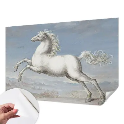 Papier peint photographique intissé Chevaux en saut