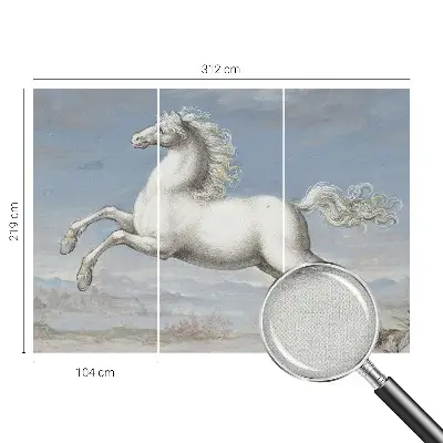 Papier peint photographique intissé Chevaux en saut