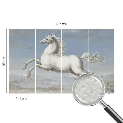 Papier peint photographique intissé Chevaux en saut