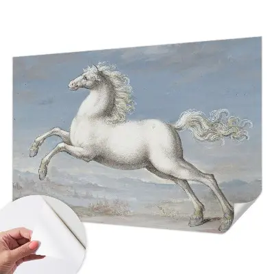 Papier peint photographique intissé Chevaux en saut