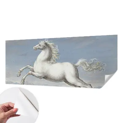 Papier peint photographique intissé Chevaux en saut