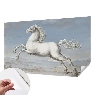 Papier peint photographique intissé Chevaux en saut
