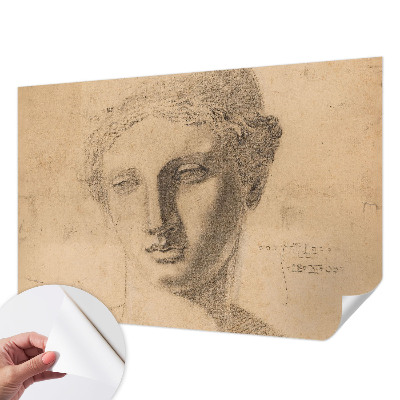 Papier peint tête de lit chambre adulte Ženský portrét