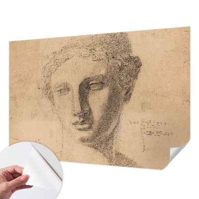 Papier peint tête de lit chambre adulte Ženský portrét