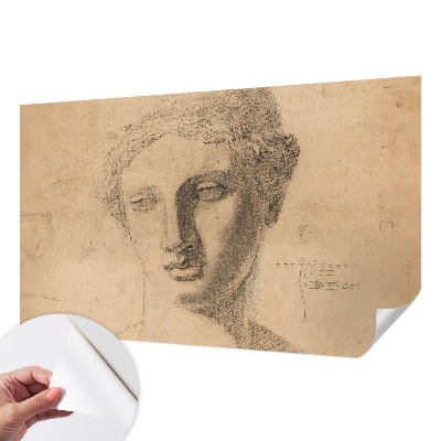 Papier peint tête de lit chambre adulte Ženský portrét