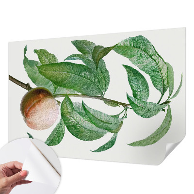 Papier peint chambre ado Zrelá broskyňa