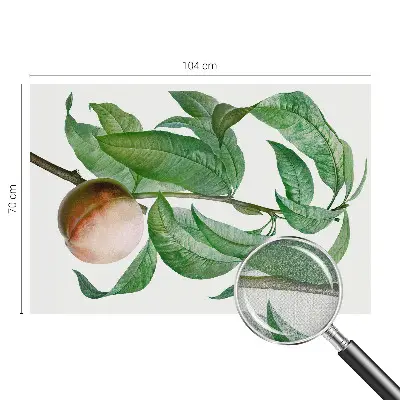 Papier peint photographique sur tissu non tissé pêche mûre