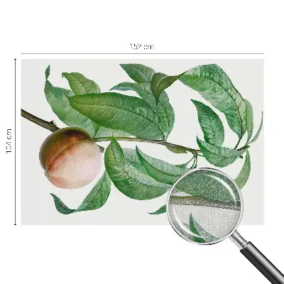 Papier peint photographique sur tissu non tissé pêche mûre
