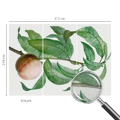 Papier peint photographique sur tissu non tissé pêche mûre