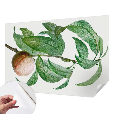 Papier peint chambre ado Zrelá broskyňa