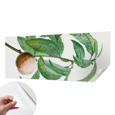Papier peint chambre ado Zrelá broskyňa