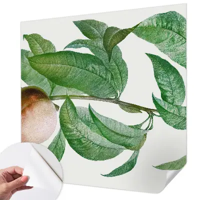 Papier peint photographique sur tissu non tissé pêche mûre