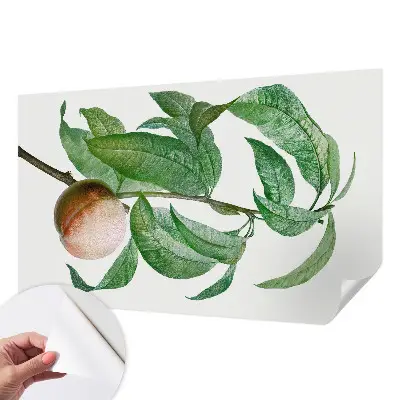 Papier peint photographique sur tissu non tissé pêche mûre