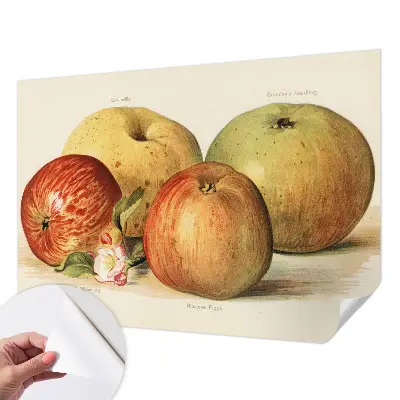 Papier peint intissé fleurs de pommier