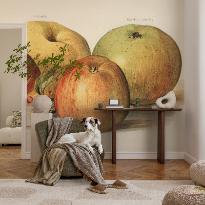 Papier peint tête de lit chambre adulte Jabloňové kvety