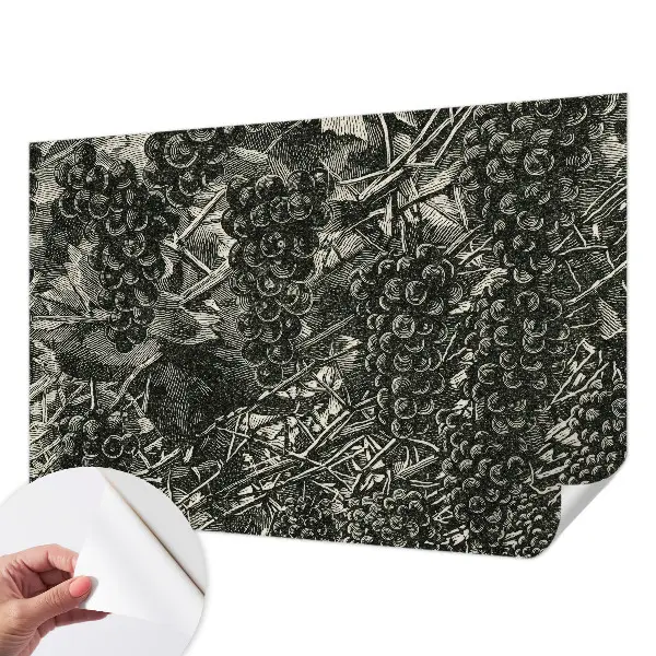Papier peint intissé imprimé Empreinte de raisin