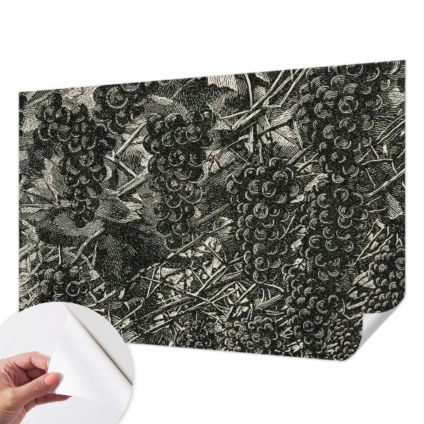 Papier peint chambre garçon Hroznová potlač