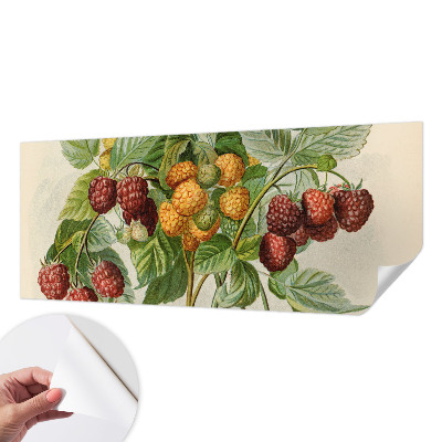 Papier peint tendance Klasické maliny