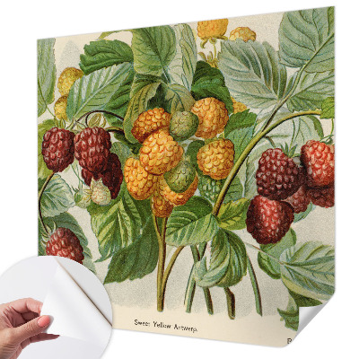 Papier peint tendance Klasické maliny