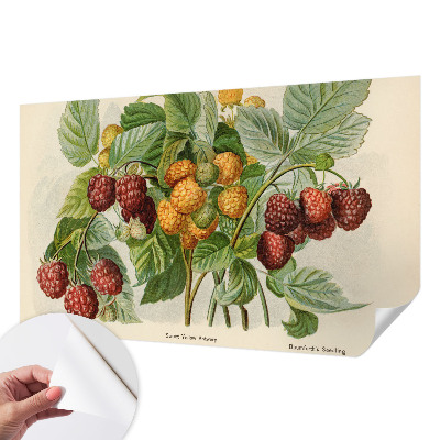 Papier peint tendance Klasické maliny