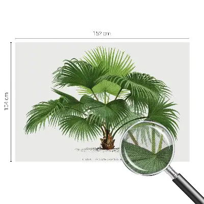 Papier peint intissé imprimé palmier exotique