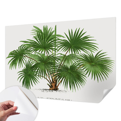 Papier peint tête de lit chambre adulte Exotický vzor