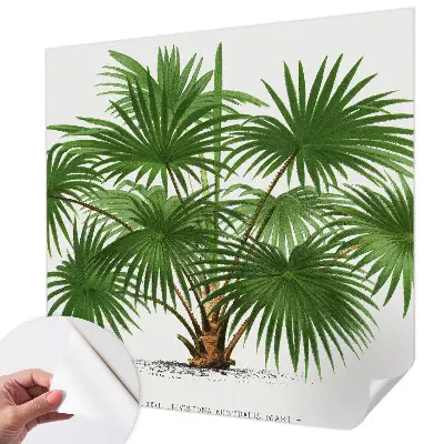 Papier peint intissé Motif exotique