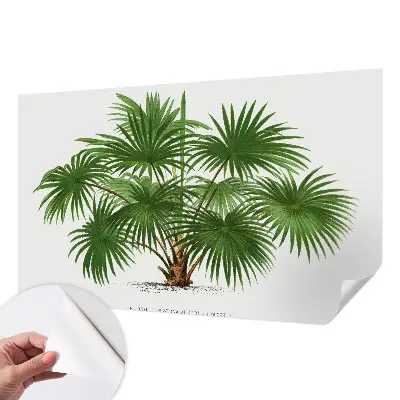 Papier peint intissé Motif exotique