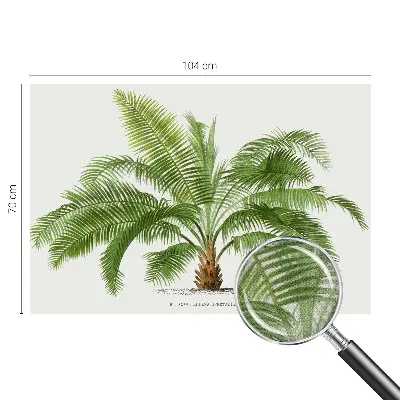 Papier peint photo grand format pour le mur palmier brillant