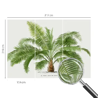Papier peint photo grand format pour le mur palmier brillant