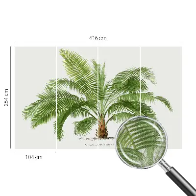 Papier peint photo grand format pour le mur palmier brillant