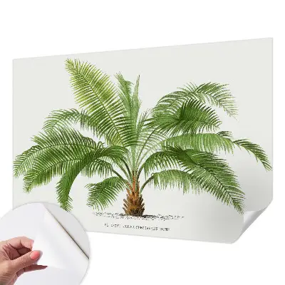 Papier peint photo grand format pour le mur palmier brillant